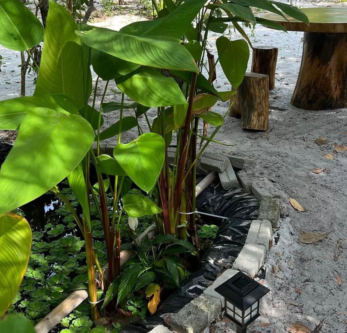 Golden Chenang Village Pantai Cenang  Hotel